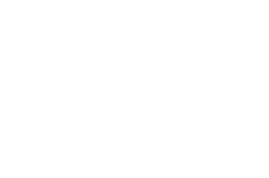 carrefour logo